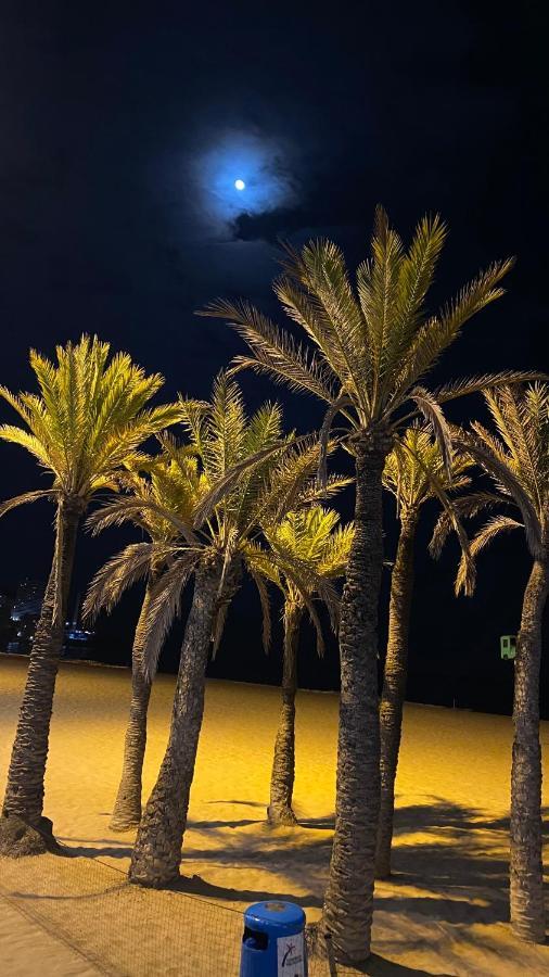 Solymar Levante Completo Lujo Recien Reformado Piscina Y Parking Comunitario * Benidorm